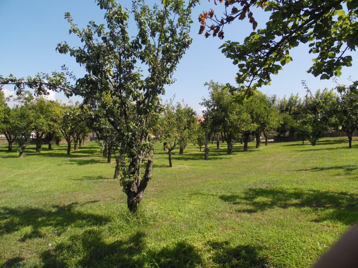 Villa Bianca Castellammare di Stabia Kültér fotó